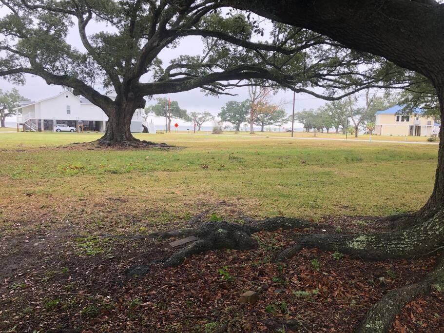 Shady Oaks Beach House With Beautiful Ocean Views! Gulfport Zewnętrze zdjęcie
